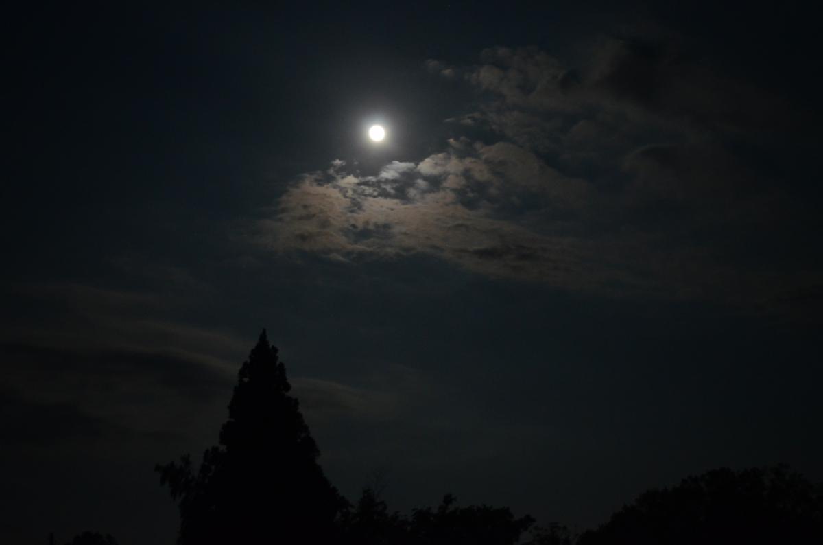 月 満月 写真 フリー素材 フリー素材写真freephoto